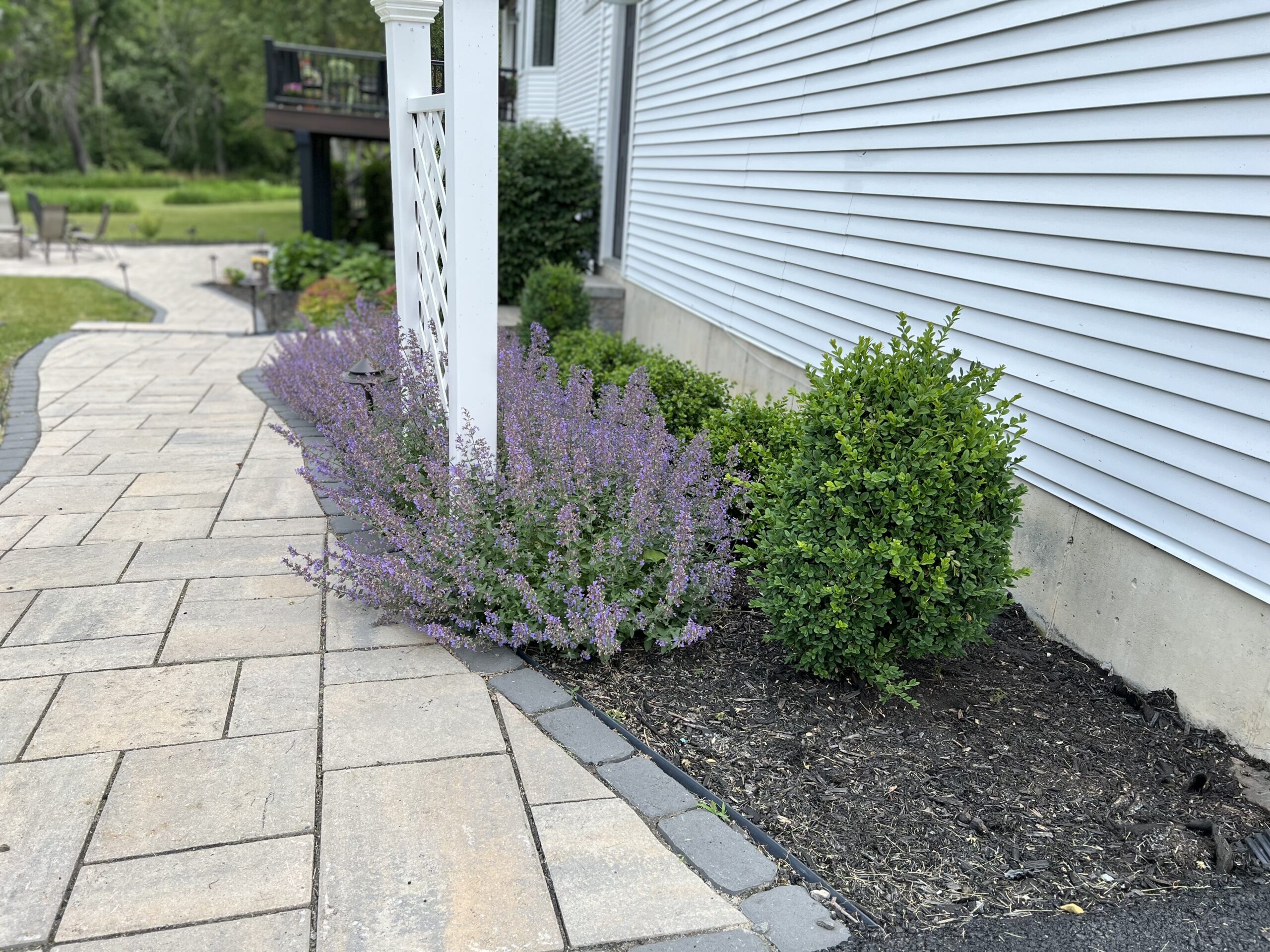 LANDSCAPE DESIGN in blairstown nj LANDSCAPE DESIGN in blairstown nj